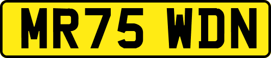 MR75WDN