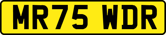 MR75WDR