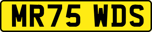 MR75WDS