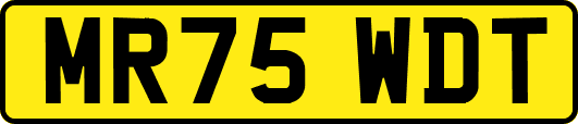 MR75WDT