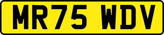 MR75WDV