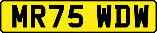 MR75WDW