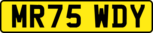 MR75WDY
