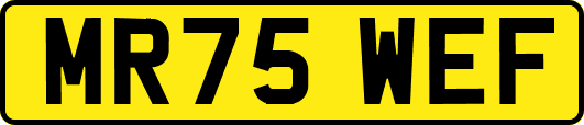MR75WEF