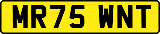 MR75WNT