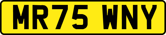 MR75WNY