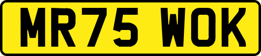 MR75WOK
