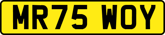 MR75WOY
