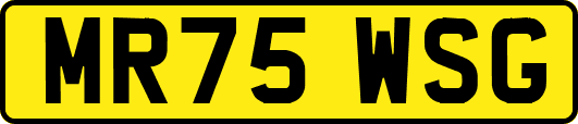 MR75WSG