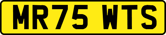 MR75WTS