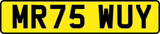 MR75WUY