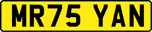 MR75YAN