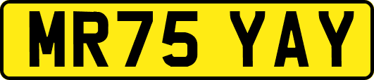 MR75YAY