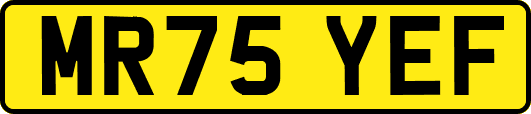 MR75YEF