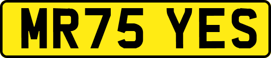 MR75YES
