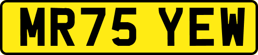 MR75YEW