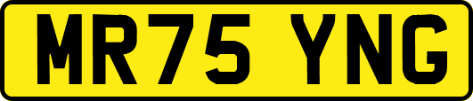 MR75YNG