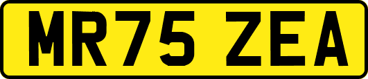 MR75ZEA