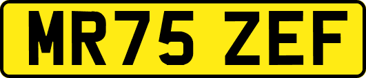 MR75ZEF