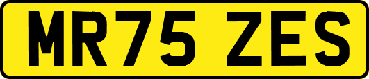 MR75ZES