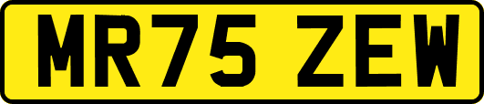 MR75ZEW