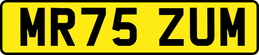 MR75ZUM