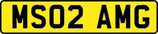 MS02AMG