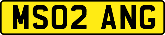 MS02ANG
