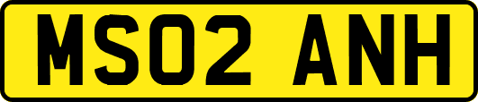MS02ANH