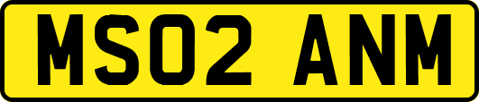 MS02ANM