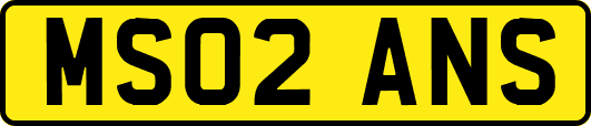 MS02ANS