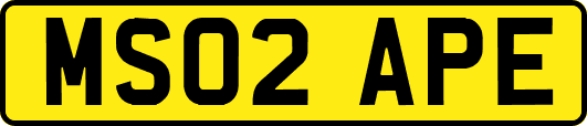 MS02APE