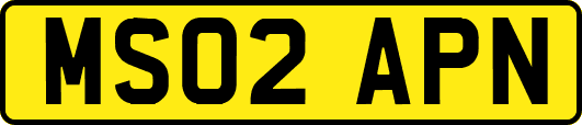 MS02APN