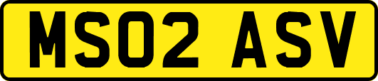 MS02ASV