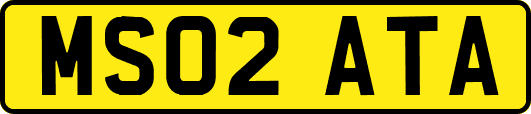 MS02ATA
