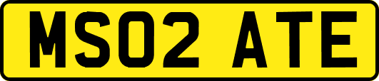 MS02ATE