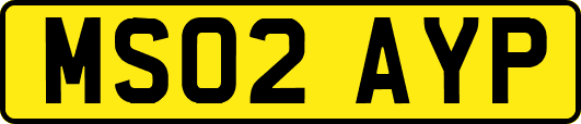 MS02AYP