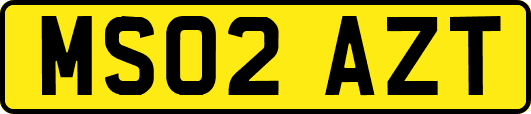 MS02AZT