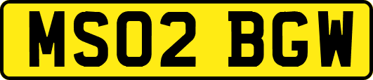 MS02BGW