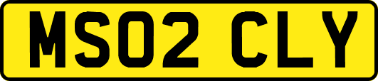 MS02CLY