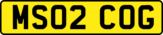 MS02COG