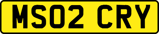 MS02CRY