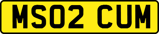 MS02CUM