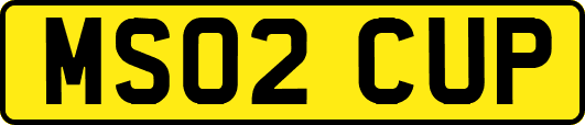 MS02CUP
