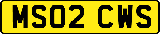 MS02CWS