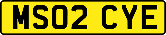 MS02CYE