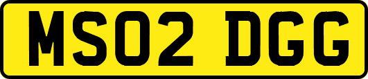 MS02DGG
