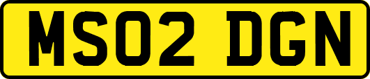 MS02DGN