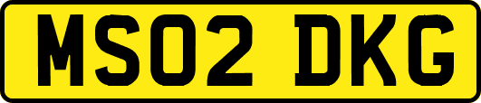 MS02DKG