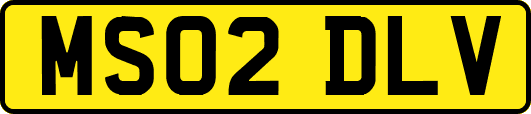 MS02DLV